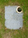 image of grave number 654865